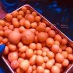 Проект Агросс продолжает свою работу