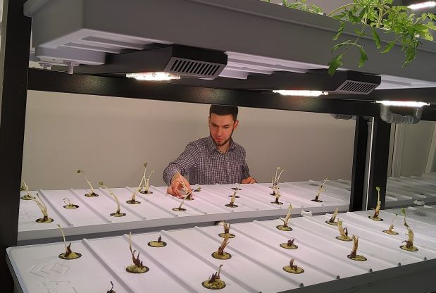 Технопарк ждет свой первый урожай